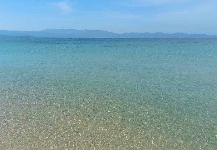 Νέα Ρόδα